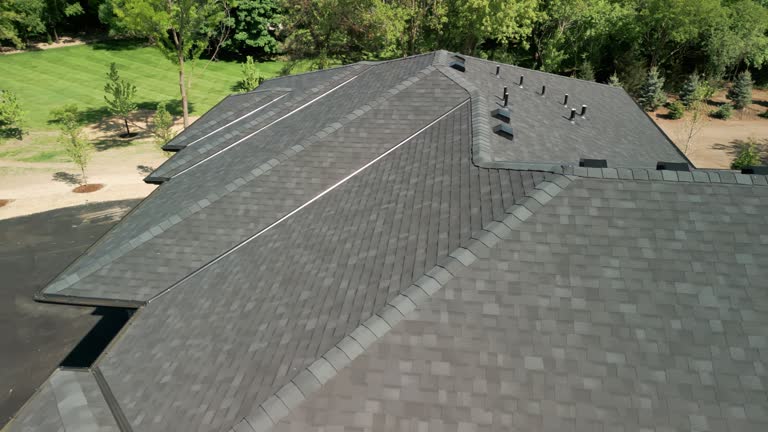 Best Sheet Metal Roofing  in Holgate, OH