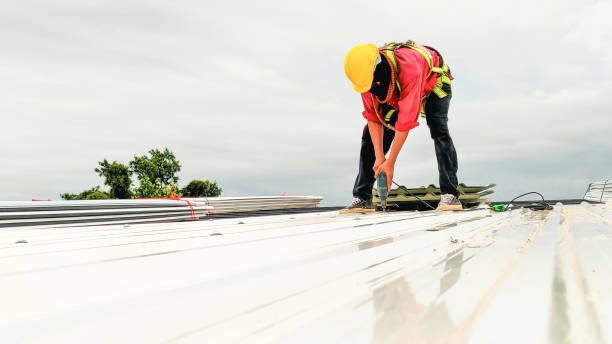 Best Roof Coating Services  in Holgate, OH