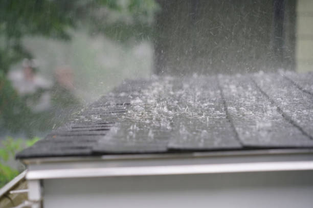 Best Metal Roofing Installation  in Holgate, OH