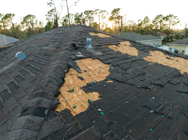 Best Roof Ventilation Installation  in Holgate, OH