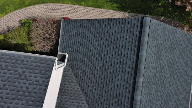 Best Roof Leak Repair  in Holgate, OH