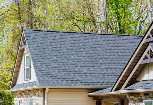 Best 4 Ply Roofing  in Holgate, OH